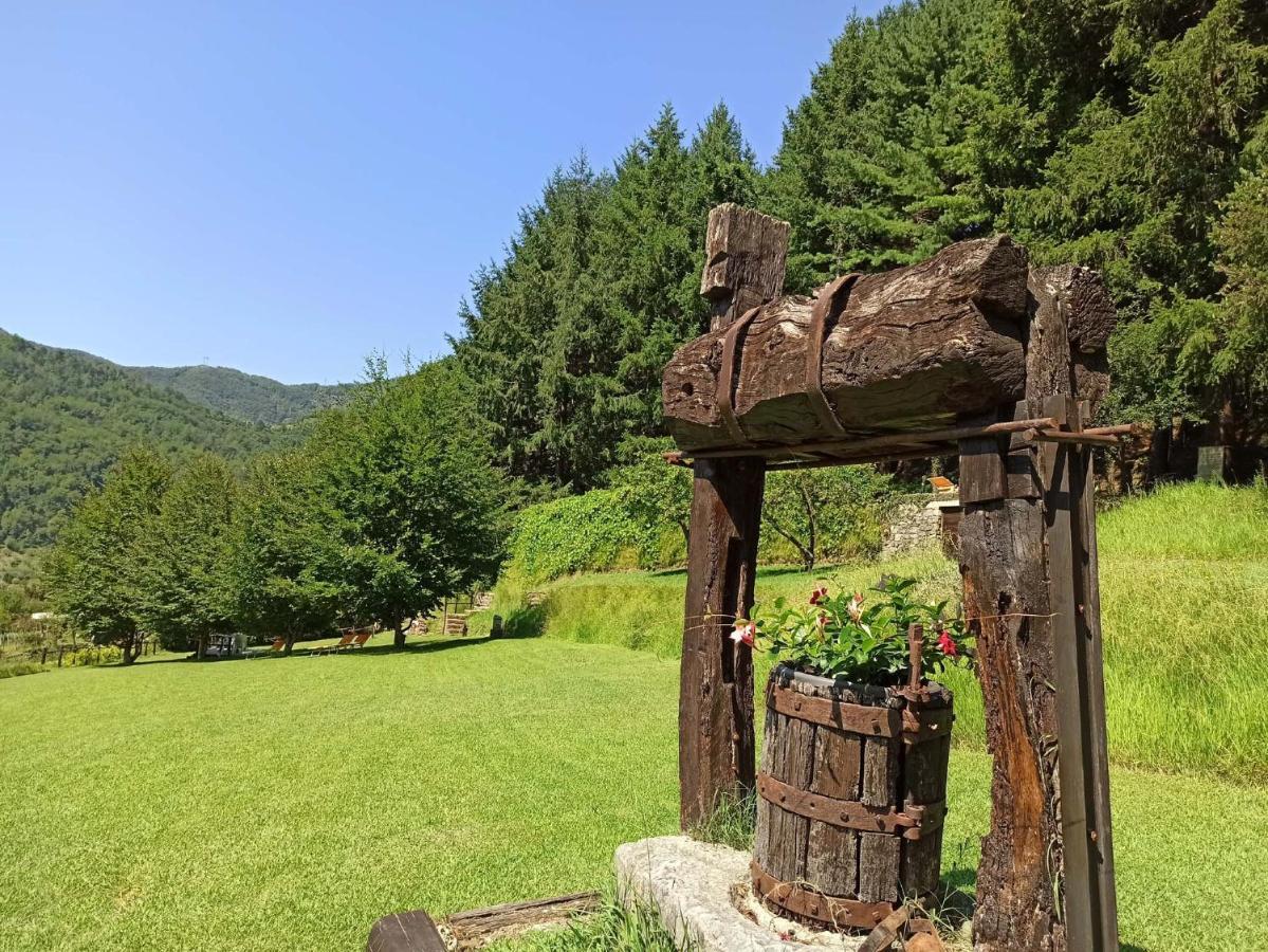 Il Bosco Di Campo Marzano Studios Борцонаска Экстерьер фото