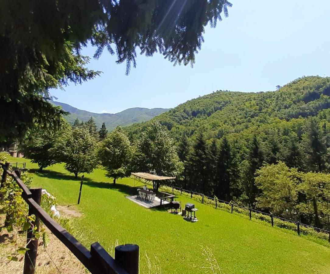 Il Bosco Di Campo Marzano Studios Борцонаска Экстерьер фото